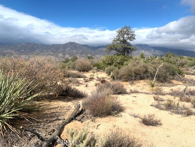 368 Palm Canyon Drive Property Photo 1