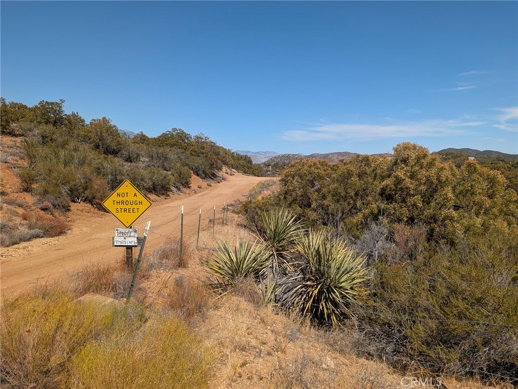 51 Trails End Property Photo 1