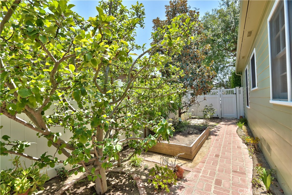 1505 E Armando Drive Property Photo 57
