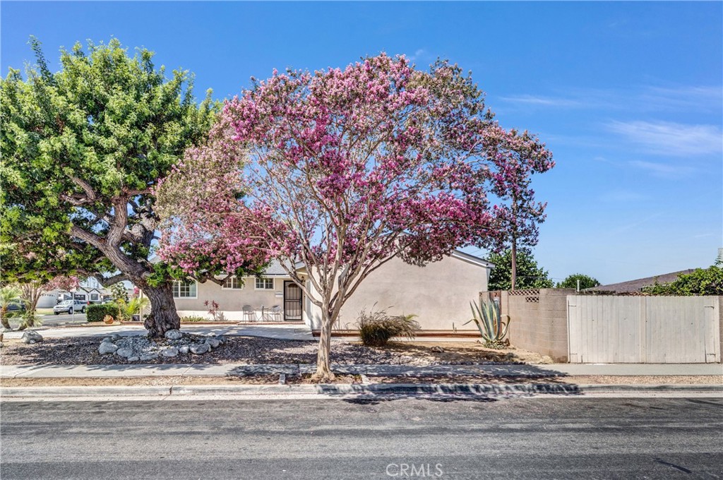 6725 Sequoia Property Photo 4