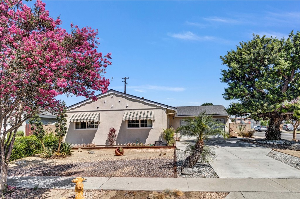 6725 Sequoia Property Photo 5