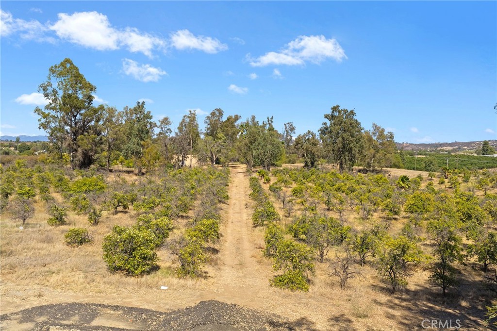 0 Glenoaks Road Property Photo 10