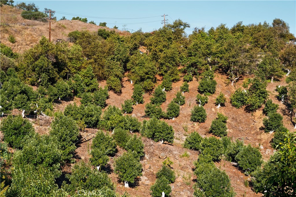 22103 Carancho Property Photo 6