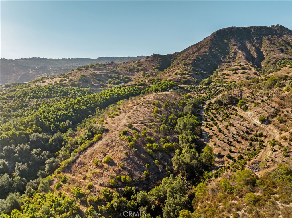 22103 Carancho Property Photo 14