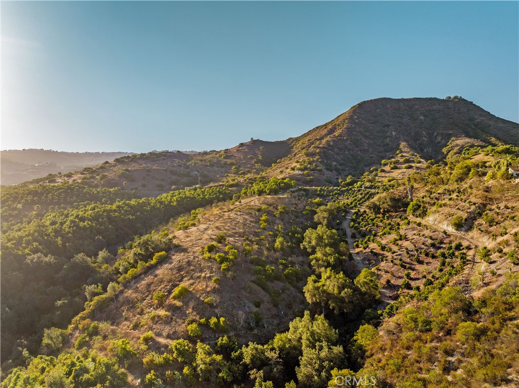 22103 Carancho Property Photo 15