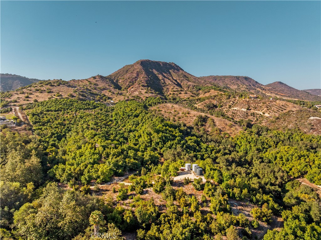 22103 Carancho Property Photo 19