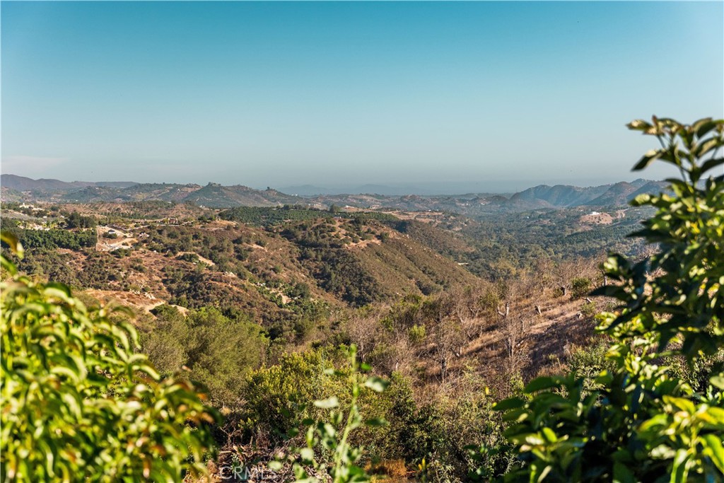 22103 Carancho Property Photo 25
