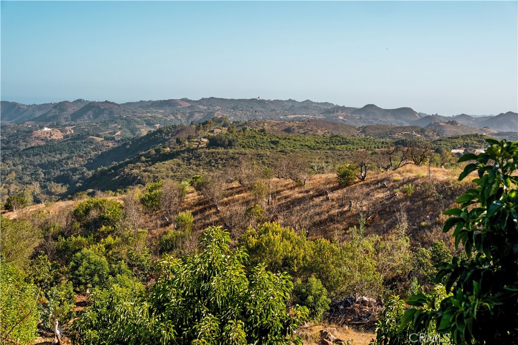 22103 Carancho Property Photo 26
