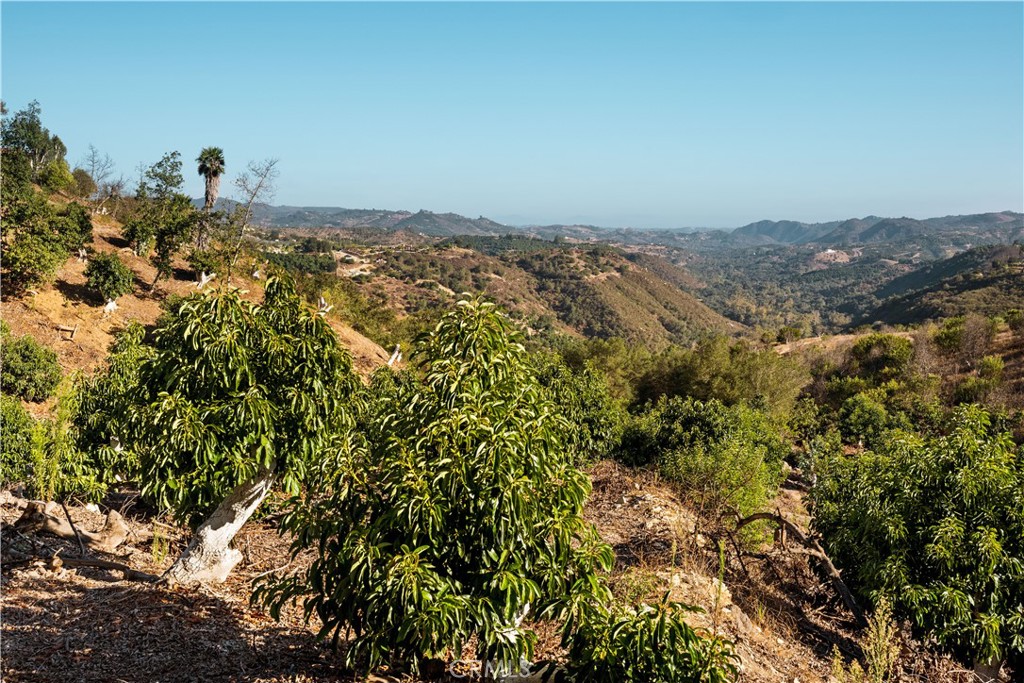 22103 Carancho Property Photo 27