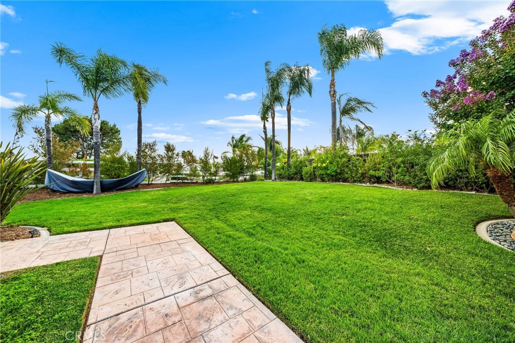 30226 Corte Cantania Property Photo 67