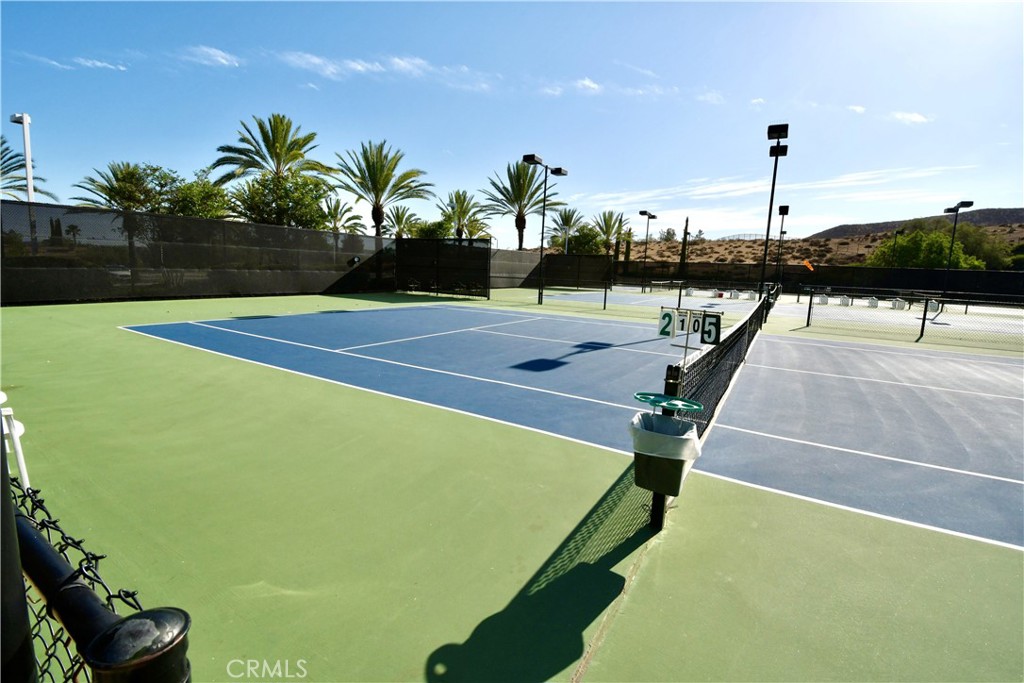 28631 Coolwater Court Property Photo 56