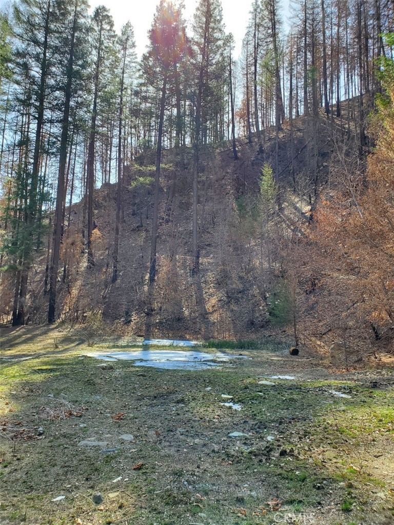 0 Little Seneca Property Photo 3