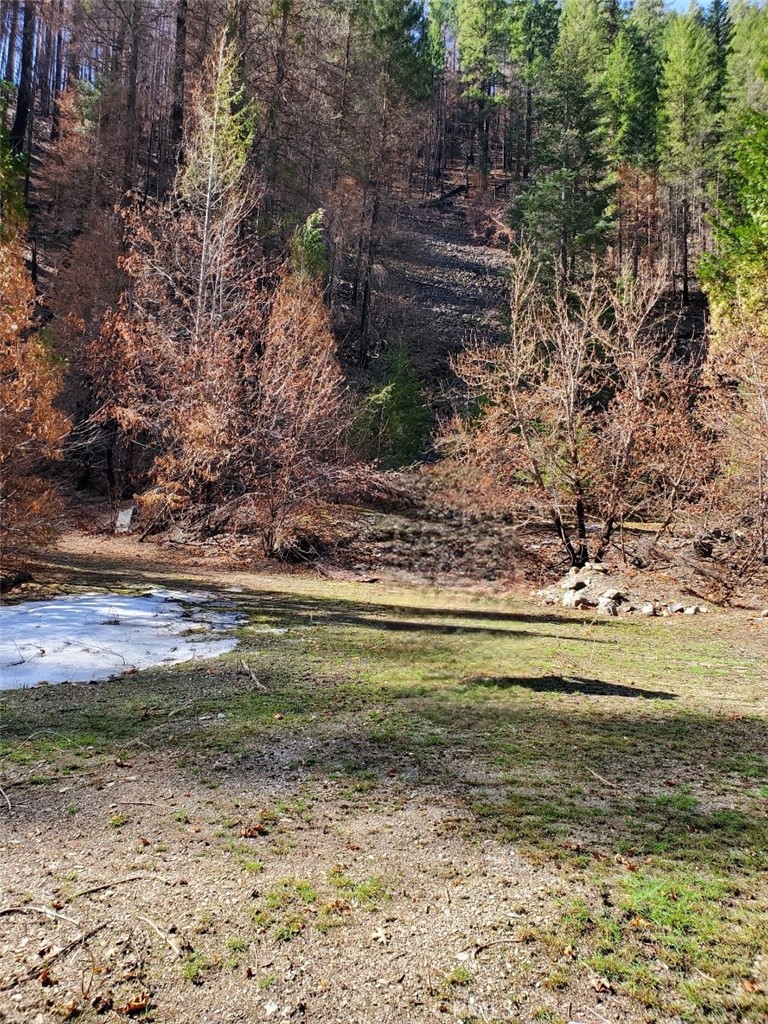 0 Little Seneca Property Photo 4