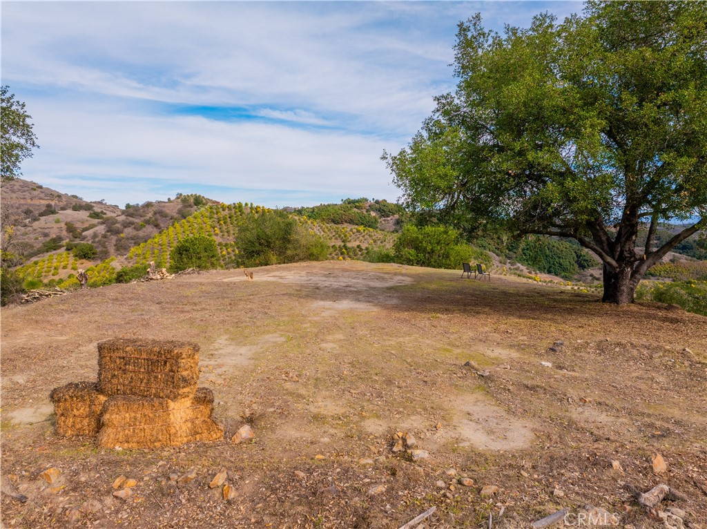 46121 Avenida Tierra Property Photo 17