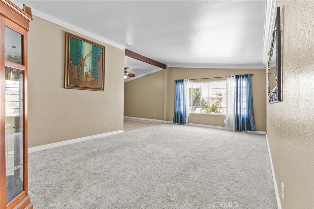 8557 Saddle Creek Drive Property Photo 9