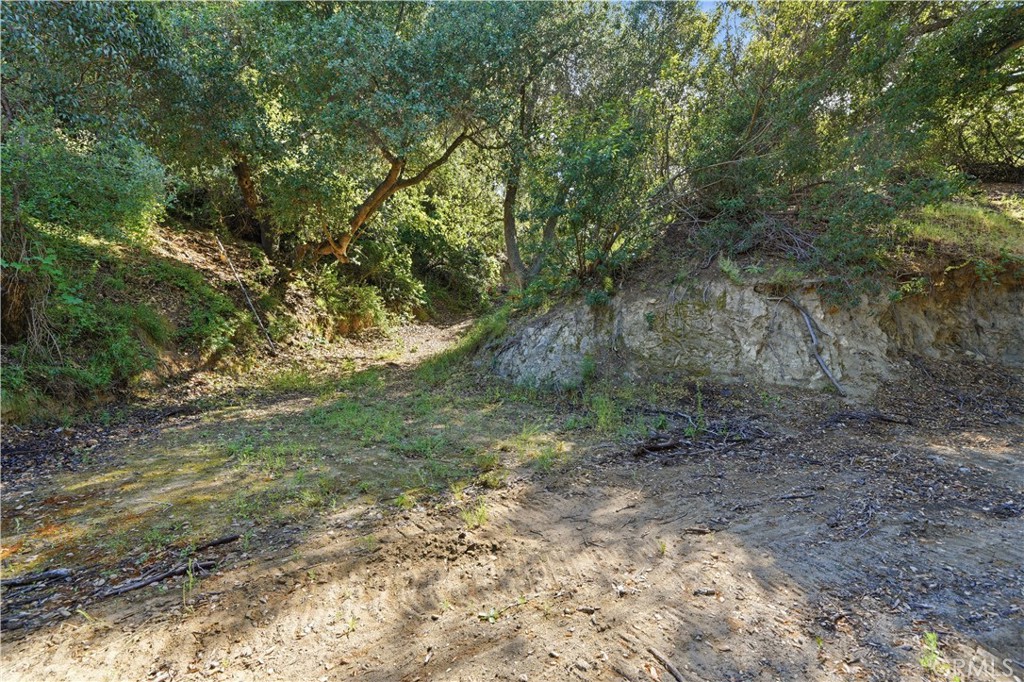 0 Paseo Chaparro Property Photo 17