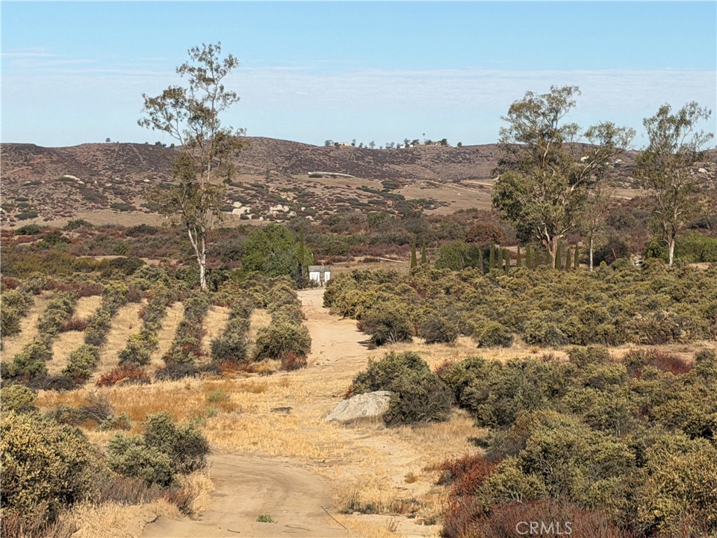 44530 Lewis Valley Property Photo 6