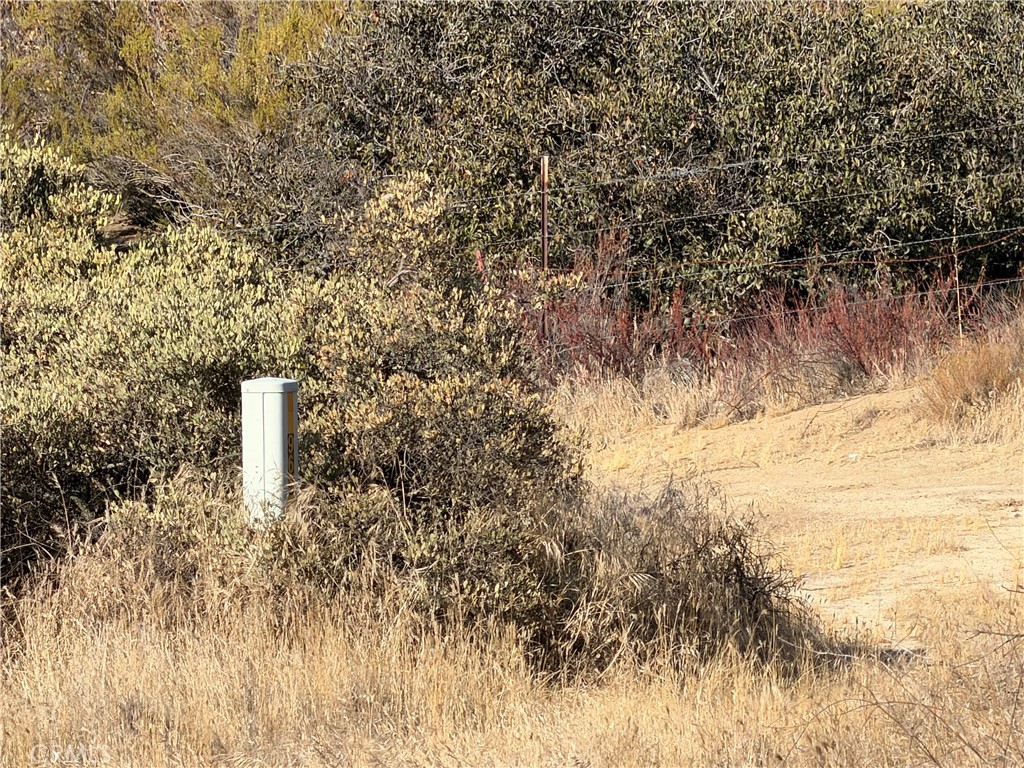 44530 Lewis Valley Property Photo 10