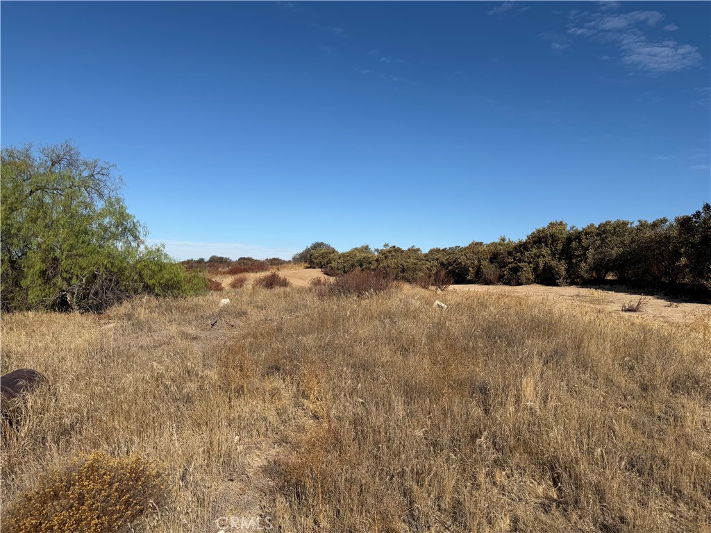 44530 Lewis Valley Property Photo 11