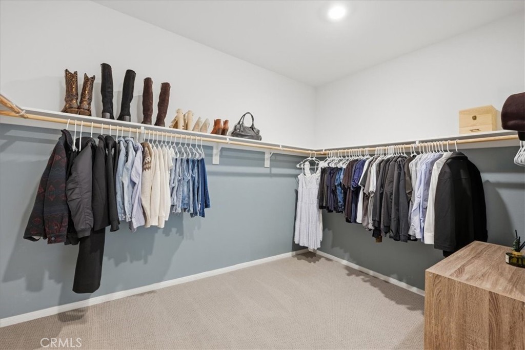 29161 Dune Primrose Property Photo 19