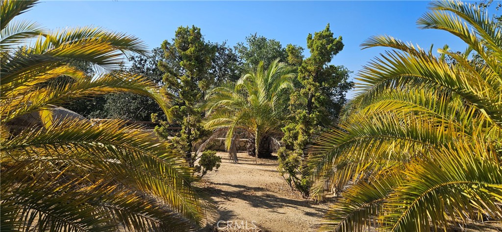 41420 Hacienda Drive Property Photo 26