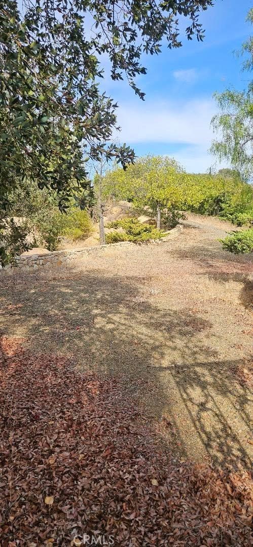 41420 Hacienda Drive Property Photo 30