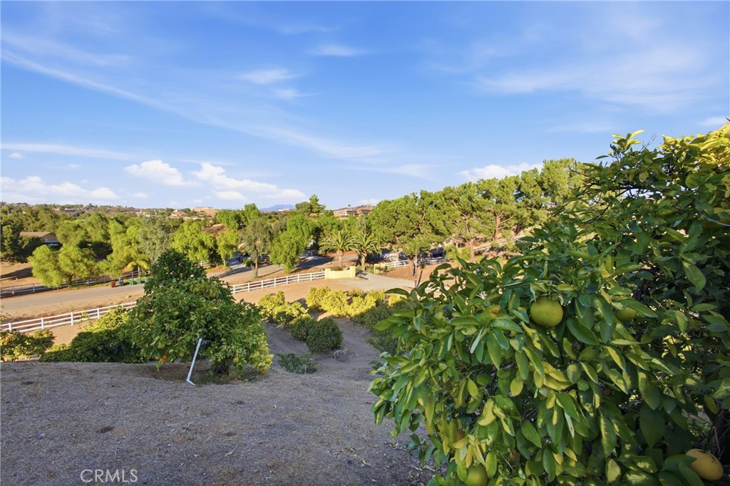 38311 Chaparral Dr Property Photo 31