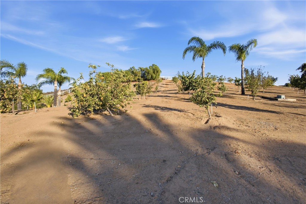 38311 Chaparral Dr Property Photo 36