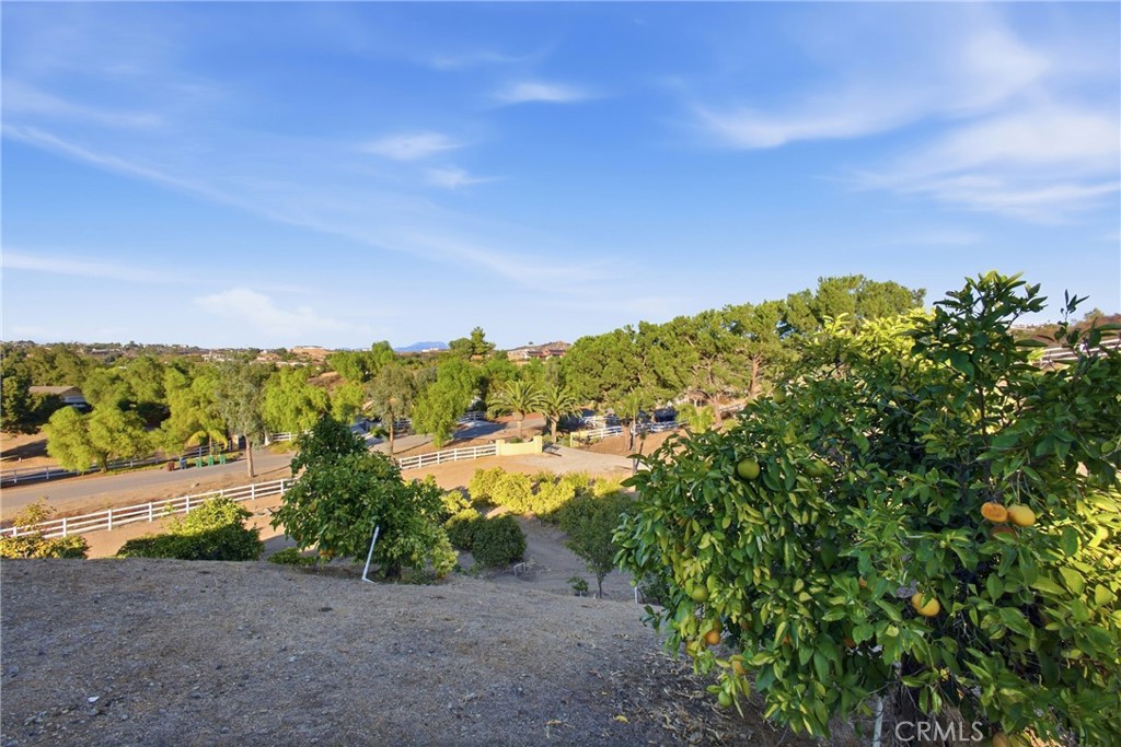 38311 Chaparral Dr Property Photo 37