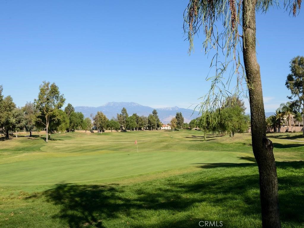 8174 Maruyama Drive Property Photo 48