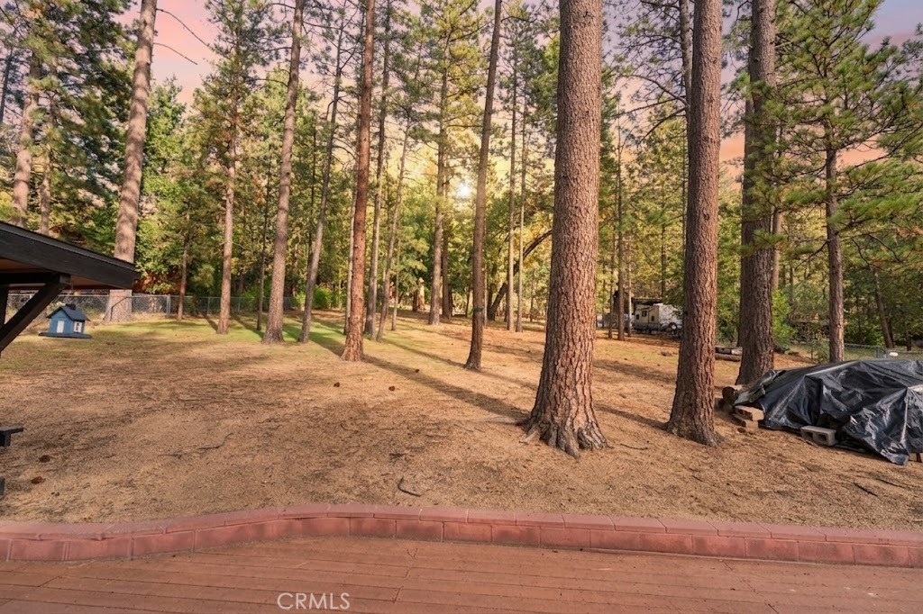 25220 Rim Rock Property Photo 6