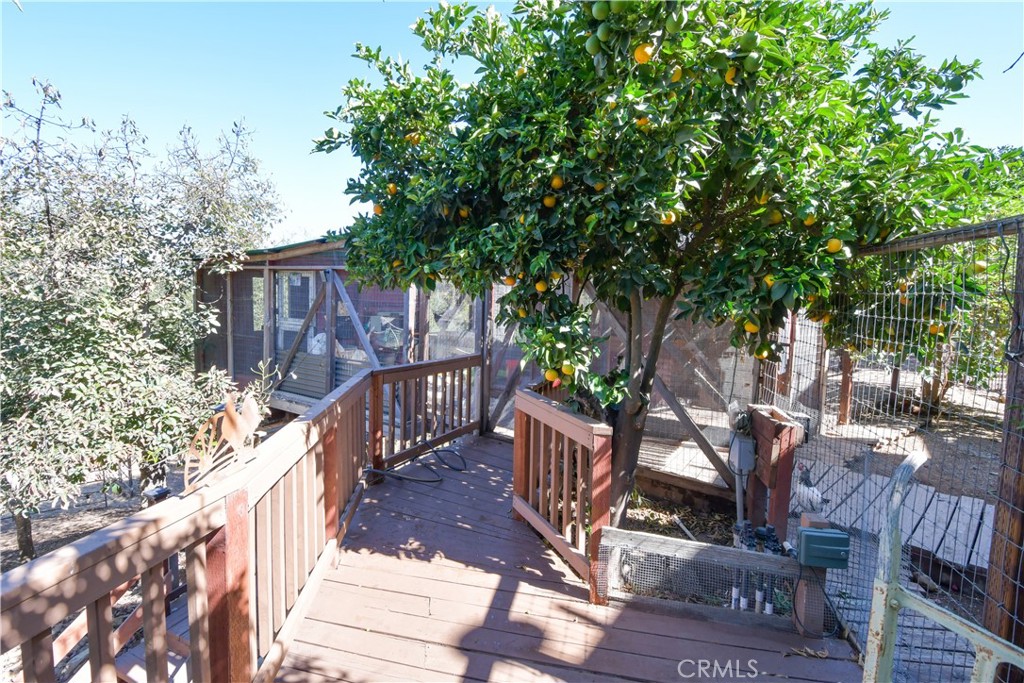 6051 Rainbow Heights Property Photo 40