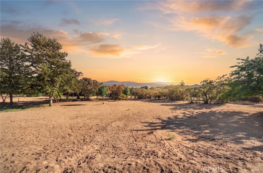 37621 Regal Blue Trail Property Photo 2