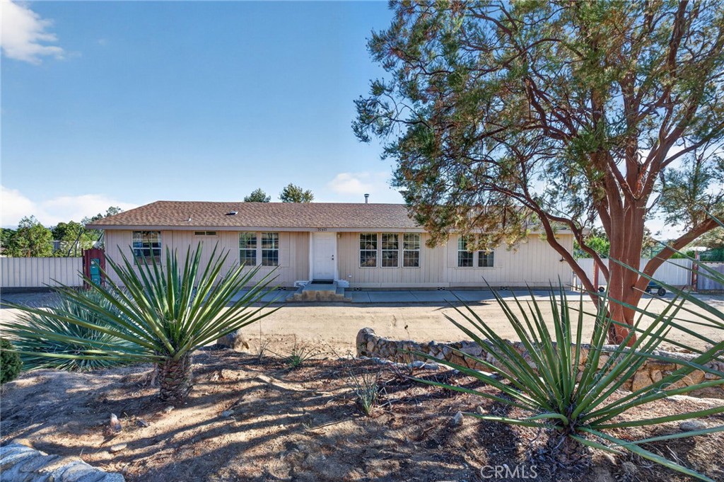 37621 Regal Blue Trail Property Photo 3