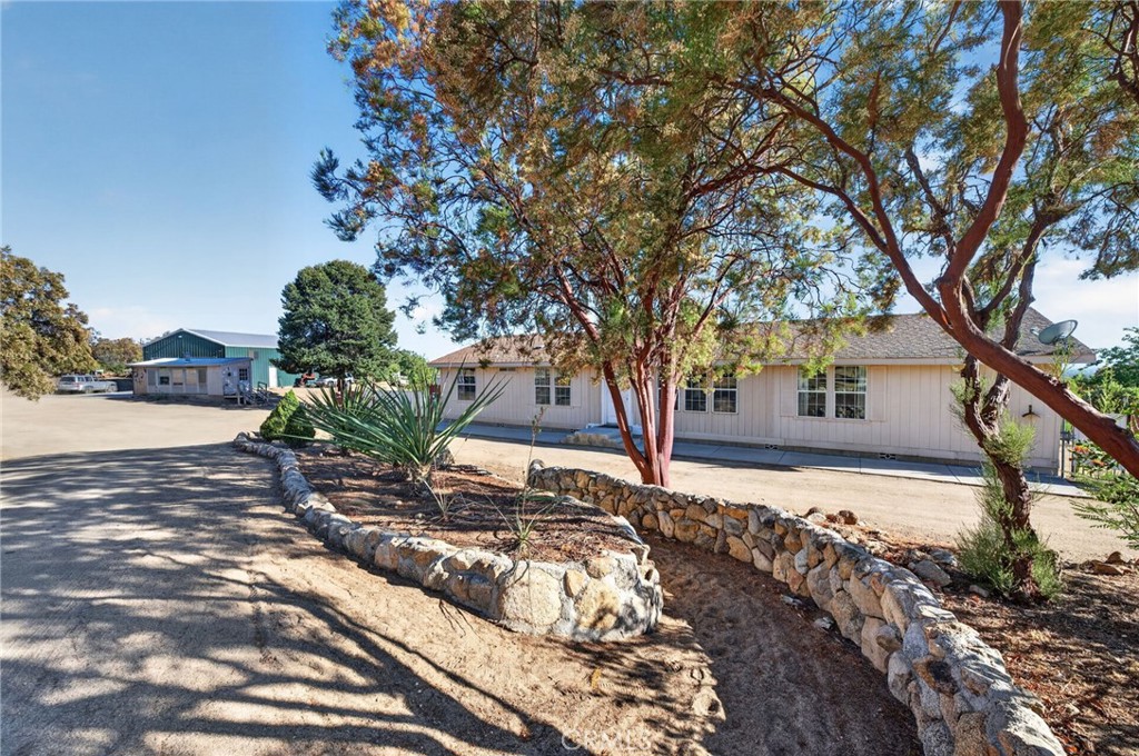 37621 Regal Blue Trail Property Photo 8