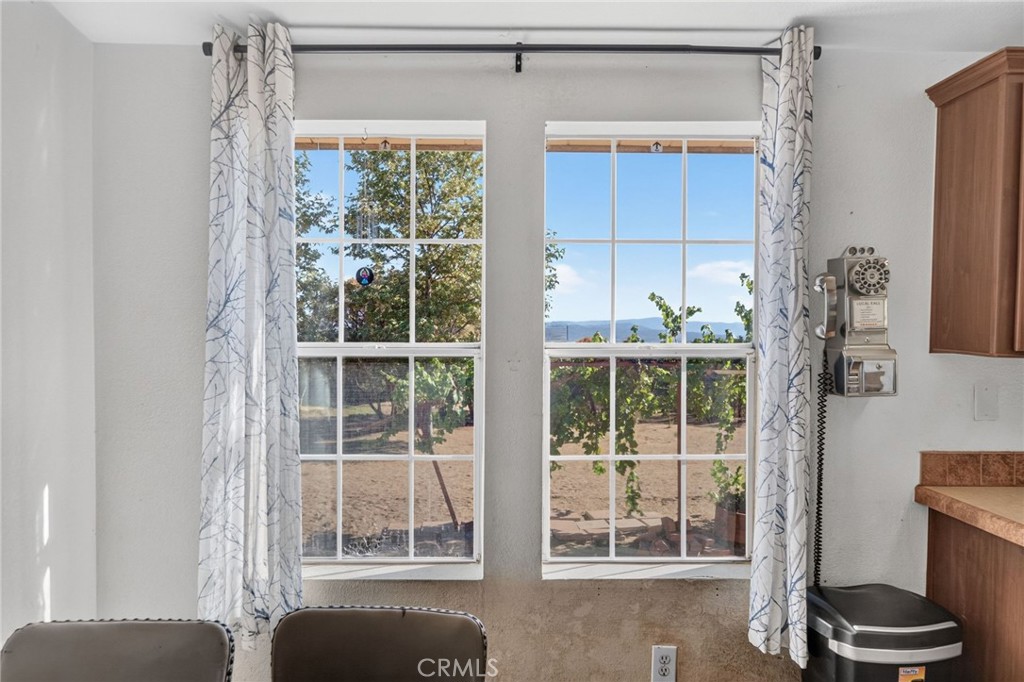 37621 Regal Blue Trail Property Photo 17
