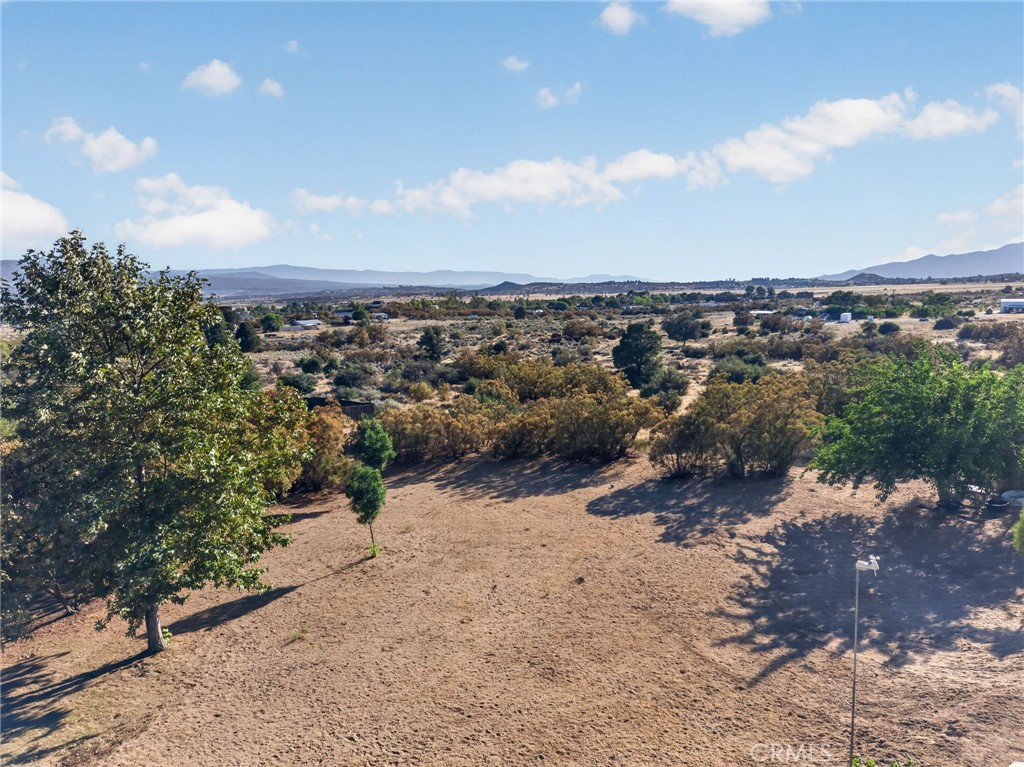 37621 Regal Blue Trail Property Photo 46