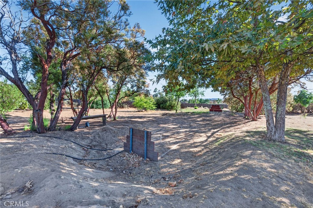 37621 Regal Blue Trail Property Photo 49