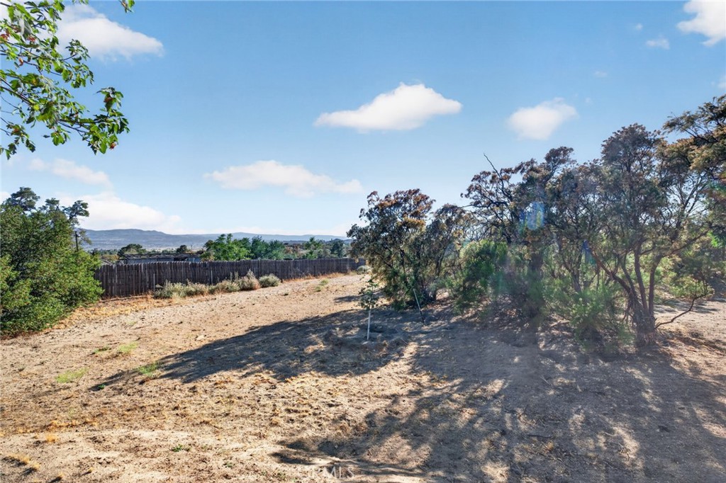 37621 Regal Blue Trail Property Photo 51