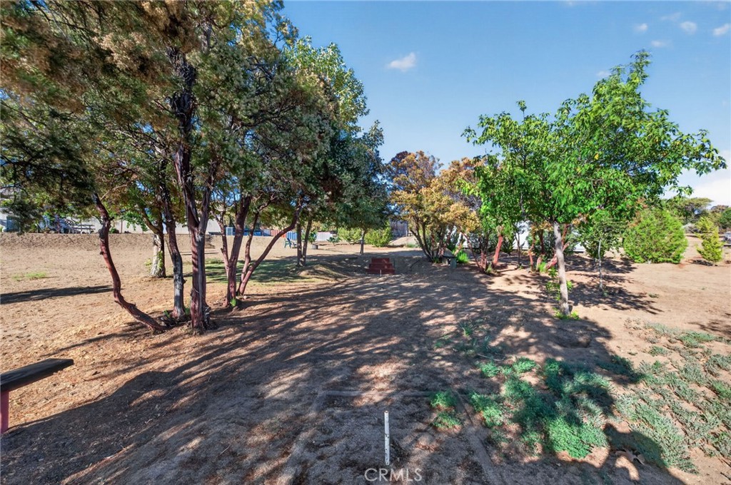 37621 Regal Blue Trail Property Photo 52