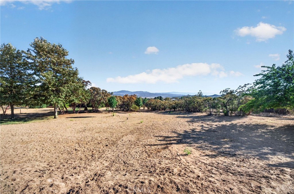 37621 Regal Blue Trail Property Photo 62