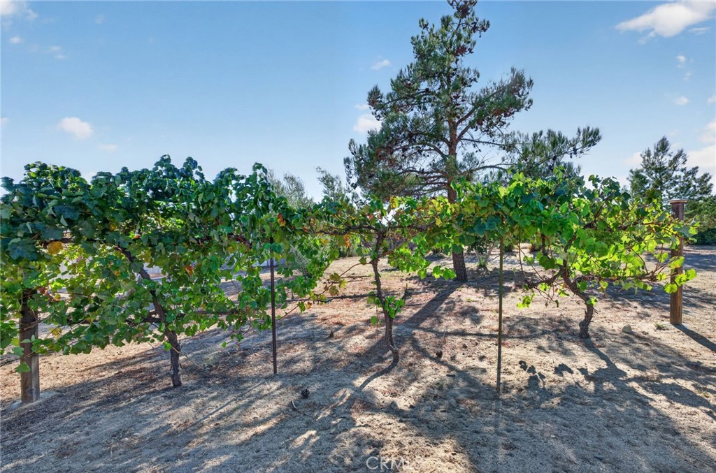 37621 Regal Blue Trail Property Photo 64