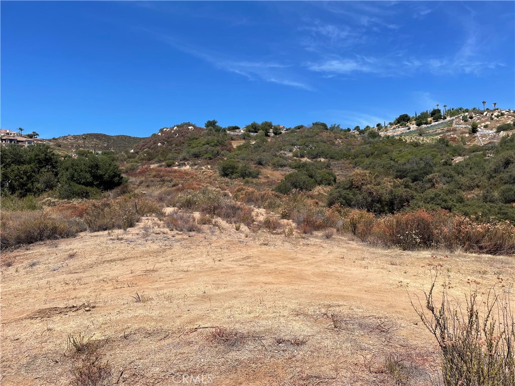21903 Los Robles Property Photo 2