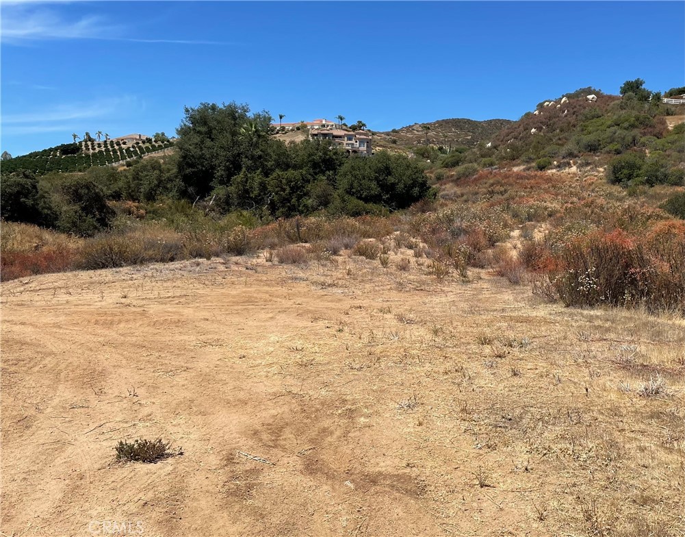 21903 Los Robles Property Photo 3