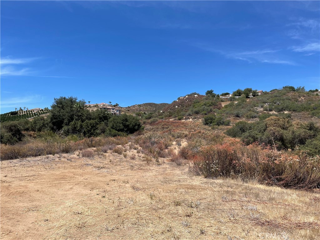 21903 Los Robles Property Photo 5