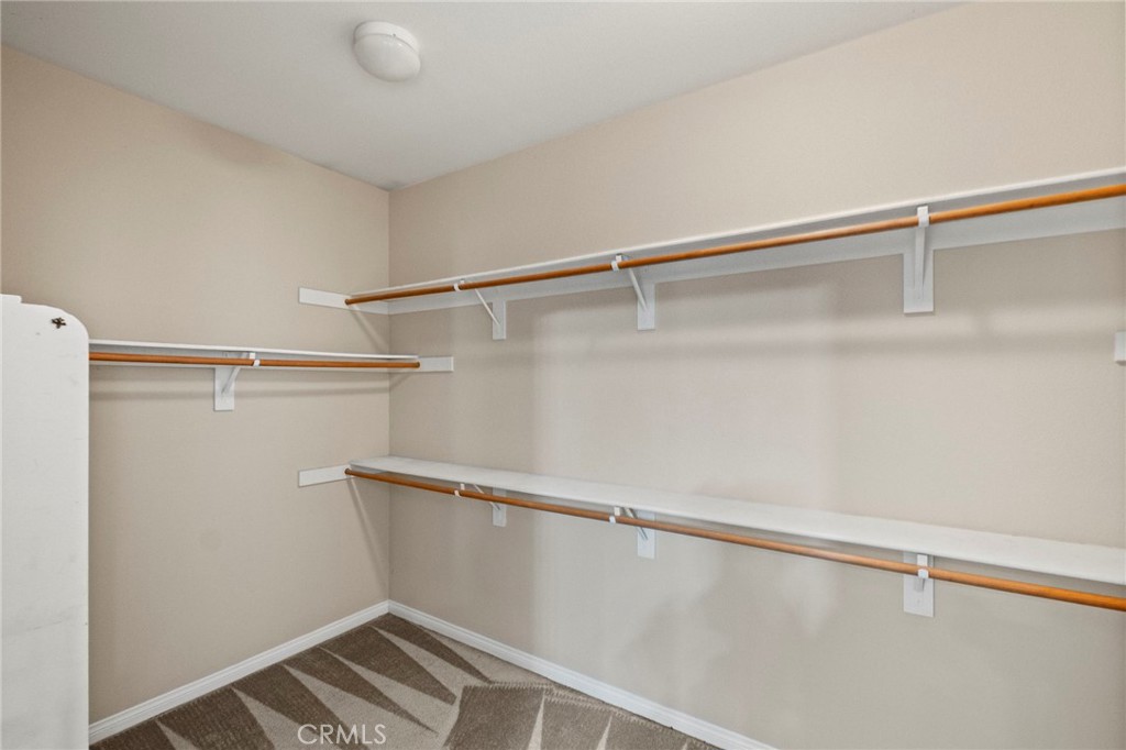 32856 Whitehaven Court Property Photo 61