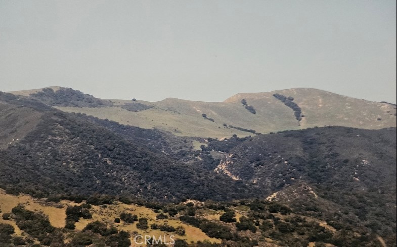 0 Lopez Canyon Rd Schuas Property Photo 4