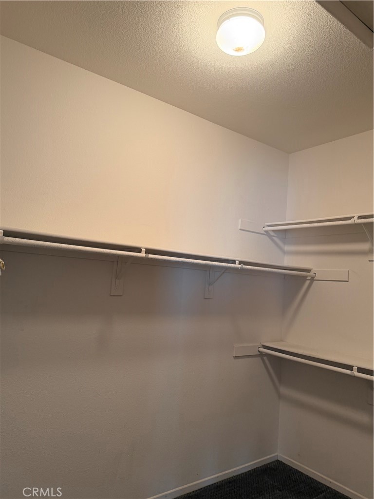 24972 Butterchurn Road Property Photo 23
