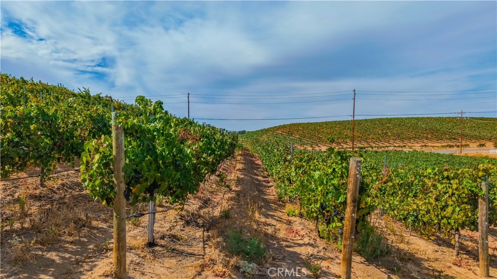 0 Monte De Oro Property Photo 4