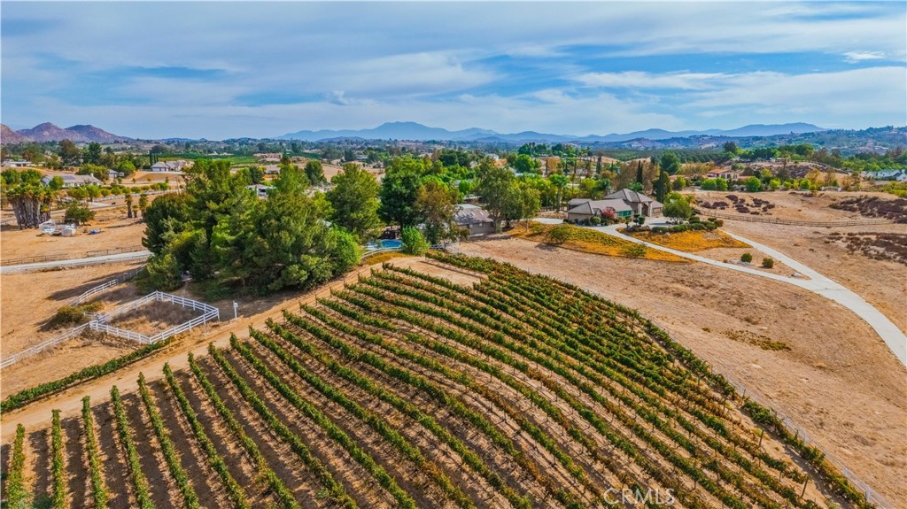 0 Monte De Oro Property Photo 6